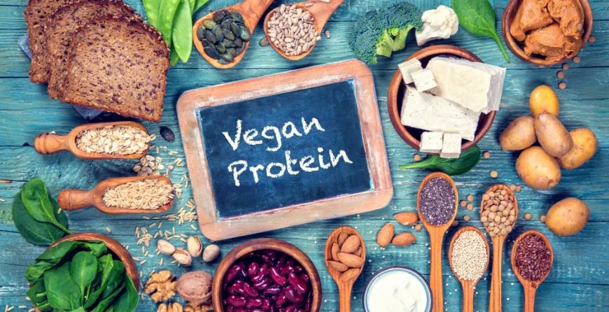 Vegetarian-Based Protein: A Comprehensive Comparison